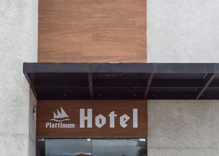 Hotel que aceita animais de estimação: Plattinum Hotel